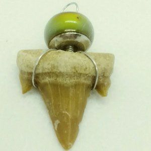 Shark Tooth Pendant from Estate Jewelry Lot